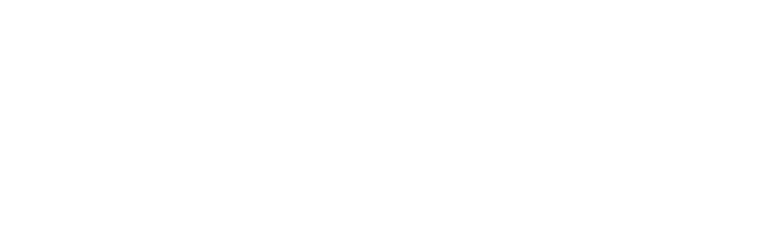 Element Software